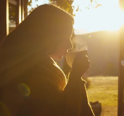 How Nature Walks Can Rebuild Your Focus and Creativity