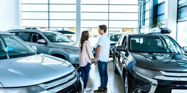 Emergency Tree Removal Solutions in Auburn