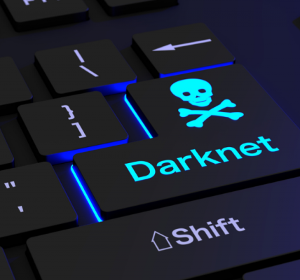 Dark Net Army and the Rise of Online Power