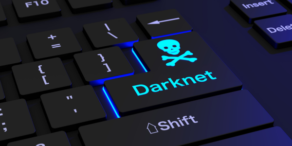 Dark Net Army and the Rise of Online Power
