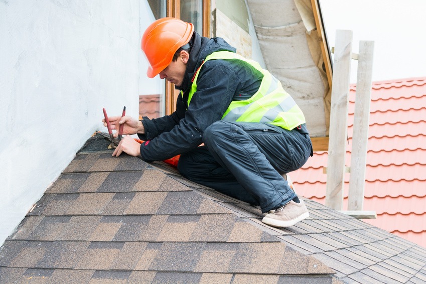 The Training and Skills Professional roofers Bring