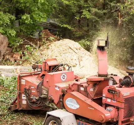 Affordable Tree Service Near Me Serving Lake Geneva & Surrounding Areas