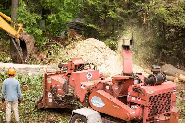 Affordable Tree Service Near Me Serving Lake Geneva & Surrounding Areas