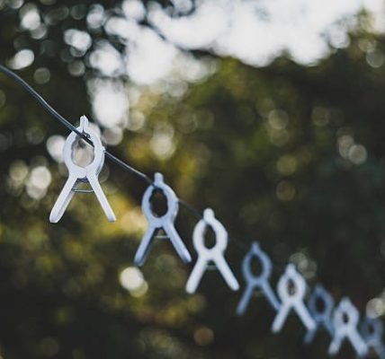 Divi Theme Reviews 2026: Pros, Cons and Why It Still Leads WordPress Builders