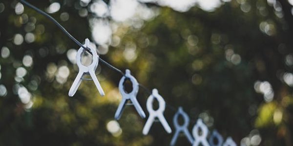 Divi Theme Reviews 2026: Pros, Cons and Why It Still Leads WordPress Builders