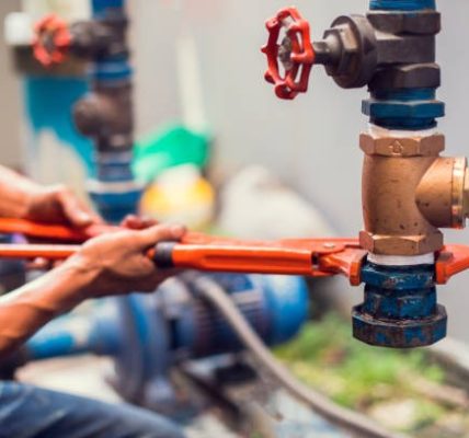 Top-Rated plumber tampa Specialists for Emergency Plumbing Repairs