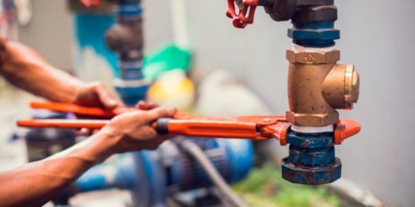Top-Rated plumber tampa Specialists for Emergency Plumbing Repairs