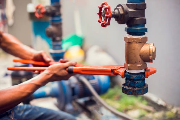 Top-Rated plumber tampa Specialists for Emergency Plumbing Repairs