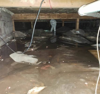 Affordable water damage restoration azle Services for Homes and Businesses