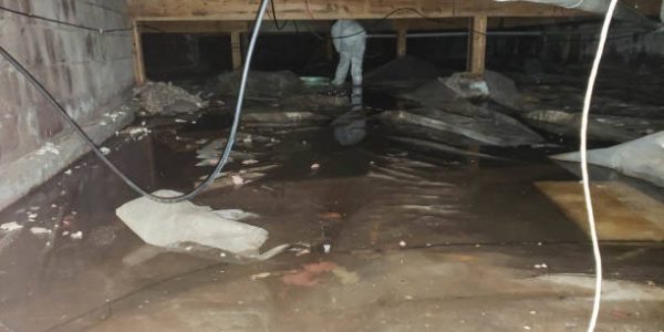 Affordable water damage restoration azle Services for Homes and Businesses