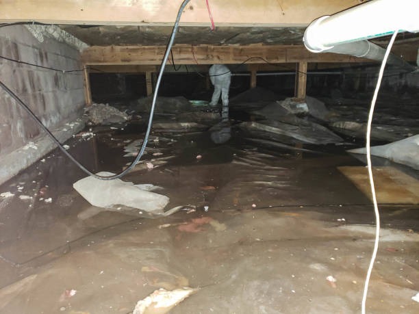 Affordable water damage restoration azle Services for Homes and Businesses