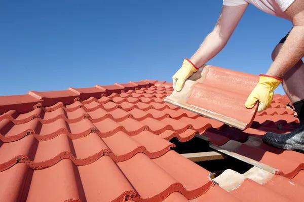 Complete Roofing Contractor Solutions for Every Roof Type