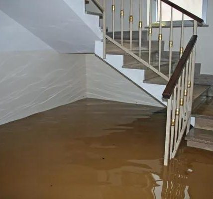Everything Homeowners Need to Know About Flood Damage Restoration Services