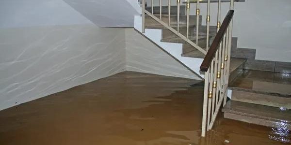 Everything Homeowners Need to Know About Flood Damage Restoration Services