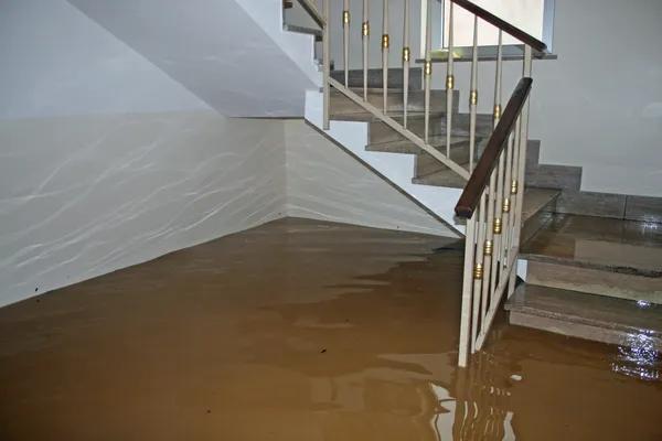 Everything Homeowners Need to Know About Flood Damage Restoration Services