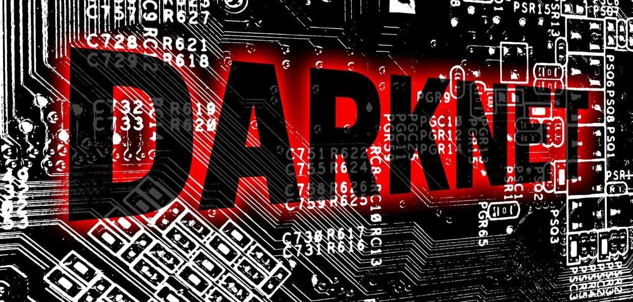 Access Darknet Traffic Data for Secure Network Analysis