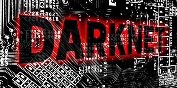 Access Darknet Traffic Data for Secure Network Analysis