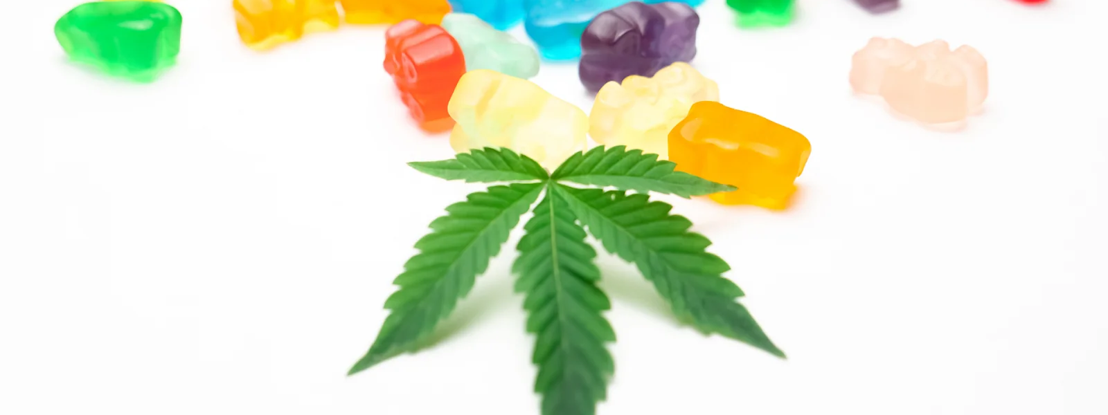 Explore the Sleep Gummies Ranked by OutSFL for Quality and Value