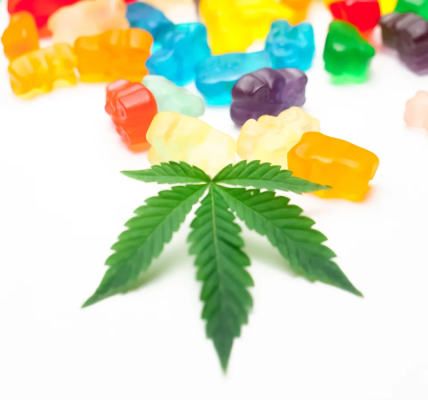 Explore the Sleep Gummies Ranked by OutSFL for Quality and Value