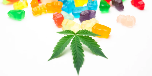 Explore the Sleep Gummies Ranked by OutSFL for Quality and Value