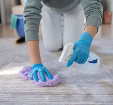 Get Rug Cleaning Phoenix Services at Affordable Prices