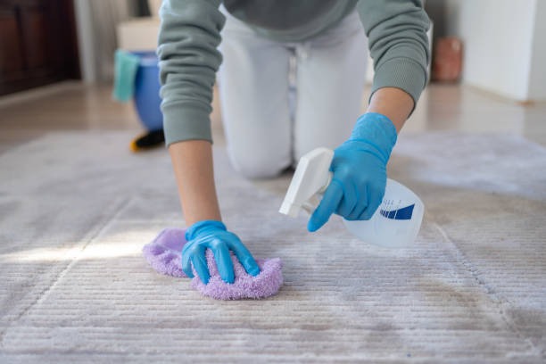 Get Rug Cleaning Phoenix Services at Affordable Prices