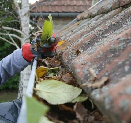 Skilled Window Cleaner Near Me for Professional Care