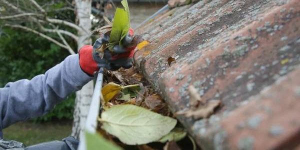 Skilled Window Cleaner Near Me for Professional Care