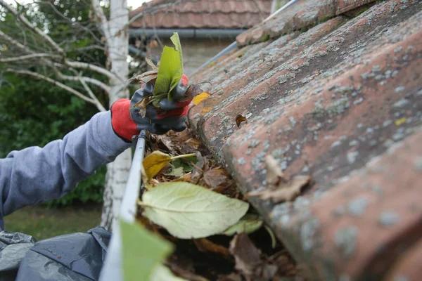 Skilled Window Cleaner Near Me for Professional Care
