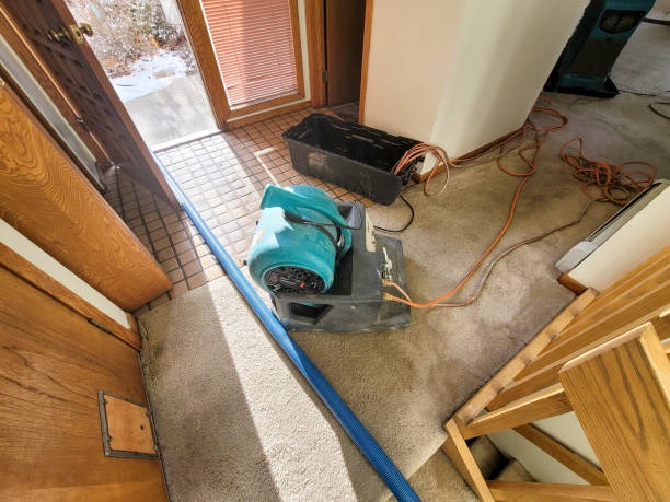 Expert Water Damage Restoration Chicago for Moisture Control and Prevention