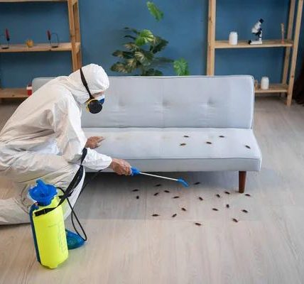 Professional Pest Solutions by Patriot Pest Control