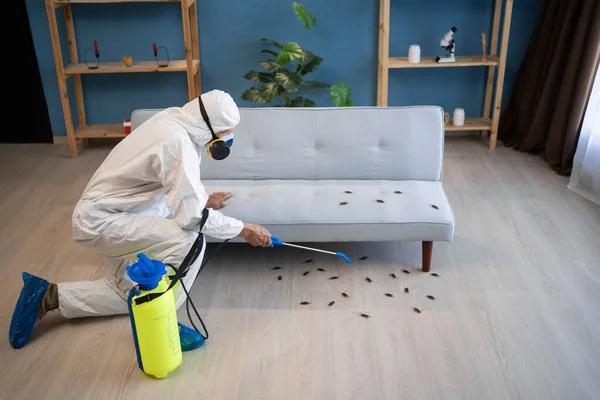 Professional Pest Solutions by Patriot Pest Control